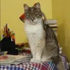 Отзыв от Валентина Булгакова